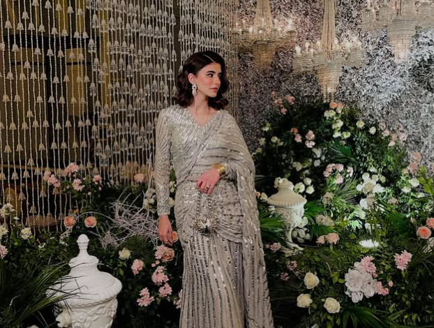 Hemayal Attique: Redefining Elegance with the Perfect Modern Silver Saree, Making Wedding Season Glamorous